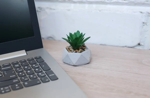Laptop with plant on table against a brick wall. Workspace