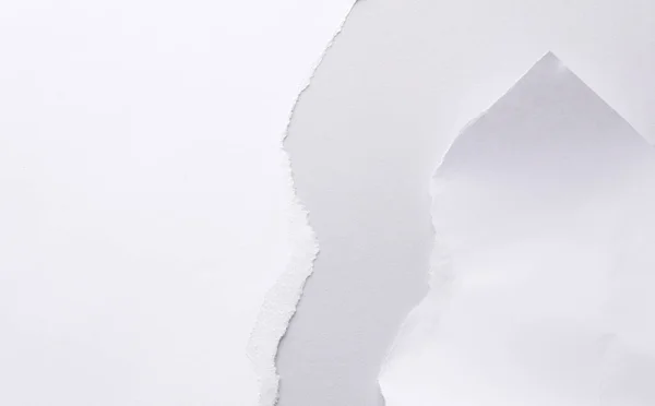 White torn sheet of paper on a gray background. Template for design