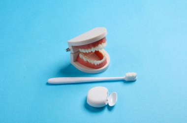 Ağız boşluğuna bakıyorum. Mavi arkaplanda insan çenesi, diş fırçası ve diş ipi.