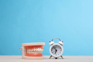 Mavi arkaplanda alarm saati olan insan çene modeli