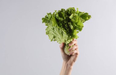 Gri arka planda taze marul çarşafları tutan bir kadın.