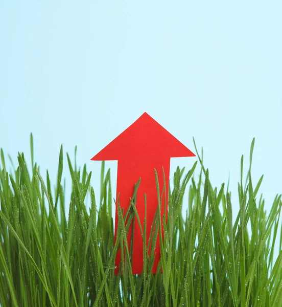 Red arrow among the green grass.