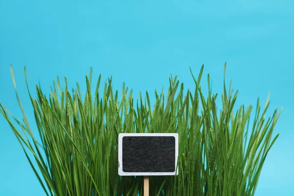 Green grass with empty chalk board on blue background