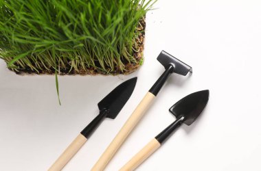 Bitki bakımı. Yeşil çimenli tencere ve beyaz arka planda minyatür bahçe aracı.