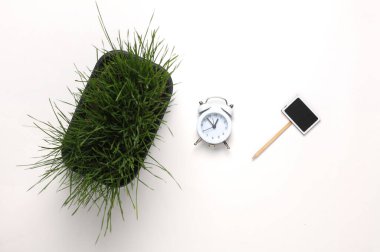 Bitki bakımı. Yeşil çimenli esrar ve beyaz arka planda çalar saat. Üst görünüm