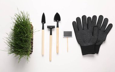 Bitki bakımı. Yeşil çimenli tencere ve minyatür bahçe aleti, tebeşir tahtası, beyaz arka planda eldivenler.