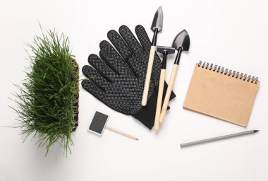 Bahçeyle ve ev bitkileriyle ilgilenmek için aletler. Düz yatıyordu