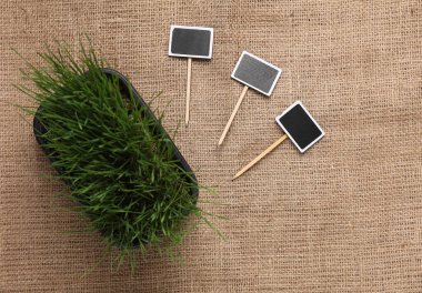 Tencerede yeşil çimen ve çuval bezinde tebeşir tahtası. Bitki bakımı