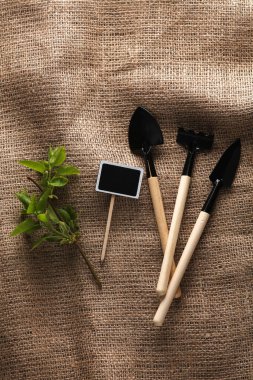 Bahçecilik. Mini bahçe aletleri, tebeşir tahtası ve çuval bezi yapraklı dal.