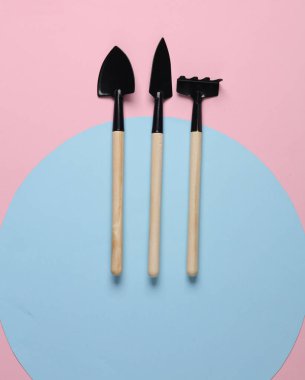 Pembe mavi arka planda ev bitkisi (tırmık, kürek) için bahçe aletleri. Üst görünüm 