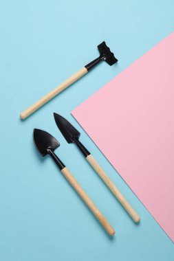 Pembe mavi arka planda ev bitkisi (tırmık, kürek) için bahçe aletleri. Üst görünüm 