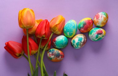 Mor arka planda laleleri olan çok renkli Paskalya yumurtaları. Üst görünüm