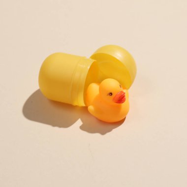 Kauçuk ördek, sürpriz bir kutuyla bej arka planda, gölgeli.