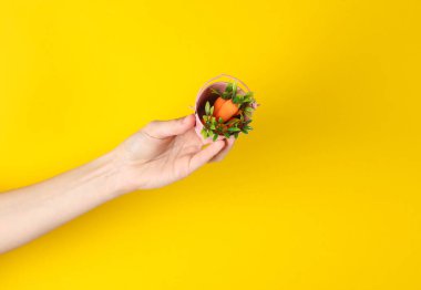 Sarı arka planda plastik havuçlu el çantası. Bahçıvanlık