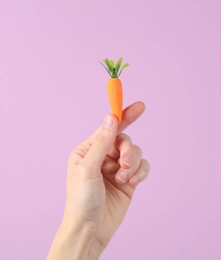 Mor arka planda plastik bir havuç tutan el.