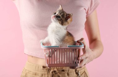 Pembe arka planda küçük alışveriş sepetinde kedi yavrusu tutan bir kadın.