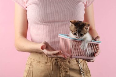 Pembe arka planda küçük alışveriş sepetinde kedi yavrusu tutan bir kadın.