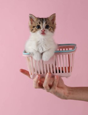 Kadının eli pembe arka planda mini alışveriş sepetinde sevimli kedi yavrusunu tutuyor.