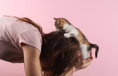 Pembe arka planda küçük sevimli bir kediyle oynayan bir kadın.