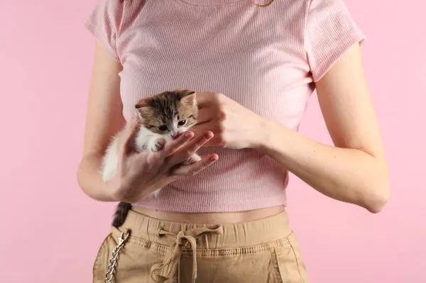 Woman holding cute kitten in on pink background
