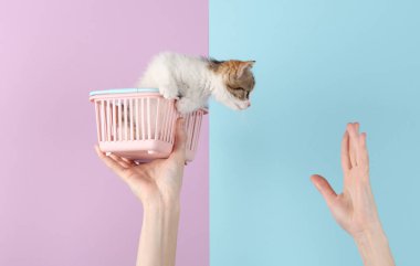 Küçük alışveriş sepetinde pembe mavi pastel arka planda sevimli bir kedi yavrusu tutan kadın.