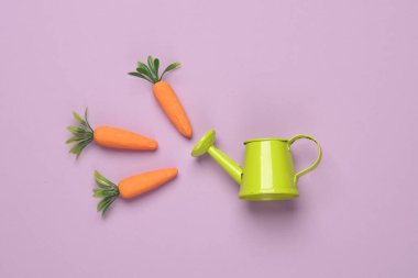 Mor arka planda minyatür sulama kutusu ve havuç