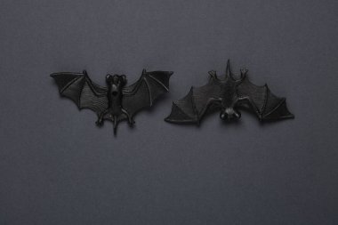 Karanlık bir arka planda plastik yarasalar. Cadılar Bayramı geçmişi