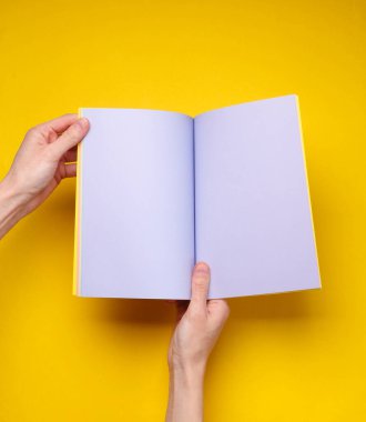 Kadın elleri sarı arkaplanda mor boş sayfaları olan açık bir defter ya da dergi tutar