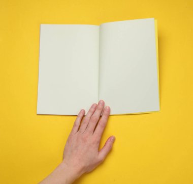 Sarı arka planda boş sayfaları olan kadın el bilgisayarı ya da dergi