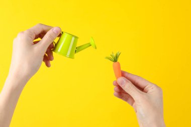 Sarı arka planda plastik havuç ve sulama kutusu tutan eller. Bahçıvanlık