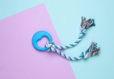 Mavi mor arka planda ipi olan köpek oyuncağı.