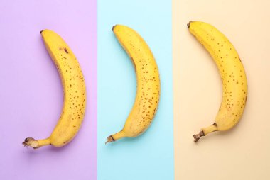 Pastel arka planda olgun muzlar. Minimalizm meyvesi hala hayat. Üst görünüm