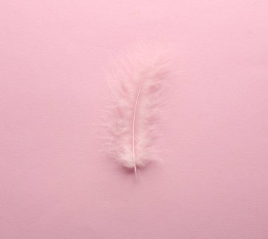 Pembe arka planda pembe tüy. Minimalizm