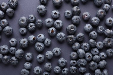 Koyu mavi arka planda yabanmersini. Üst görünüm