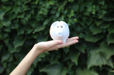 Avuç içi kumbarası, arka plan yeşil yapraklı.