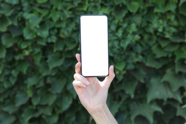 Elde akıllı telefon yeşil yapraklı duvar arkaplanı