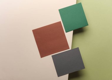 Yeşil bej arka planda gölgesi olan bir grup renkli boş kart kağıdı. Minimalizm marka şablonu, yaratıcı düzen