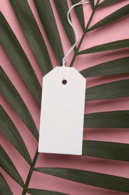 Pembe arka planda yeşil palmiye yaprağı olan beyaz fiyat etiketi. Yaratıcı yerleşim