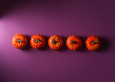 Mor arka planda plastik Cadılar Bayramı balkabakları. Üst görünüm