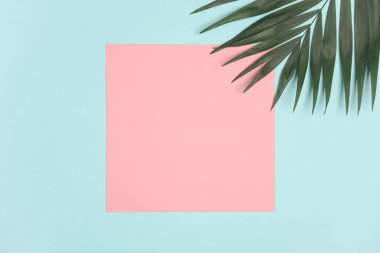 Mavi arkaplan üzerine yazılmış metin için pembe kare kağıt içeren palmiye yaprağı