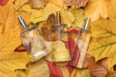 Düşen sonbahar yapraklarında parfüm şişeleri