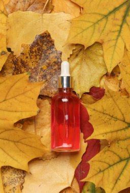 Düşen sonbahar yapraklarında serum şişesi