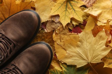 Sonbahar yapraklarında erkek deri botları. Üst görünüm