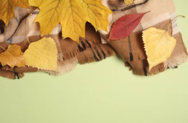 Yeşil arka planda sonbahar yapraklı sıcak battaniye ya da eşarp. Boşluğu kopyala