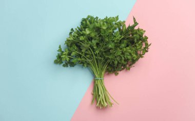 Pembe mavi arka planda bir sürü maydanoz. En az besin hala hayatta