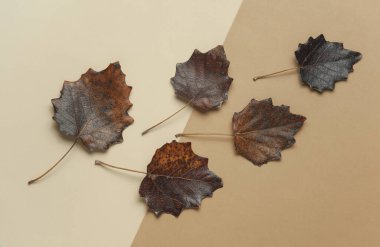 Bej arkaplanda düşen sonbahar yaprakları