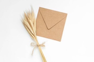 Beyaz arka planda zarflı buğday başakları