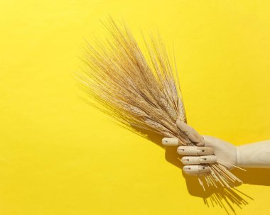 Sarı arka planda tahta bir kukla elinde buğday başakları