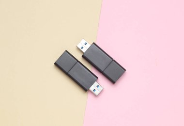 Pastel arka planda iki siyah USB flaş bellek. Üst görünüm