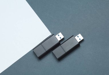 Beyaz gri arka planda iki siyah USB flaş bellek